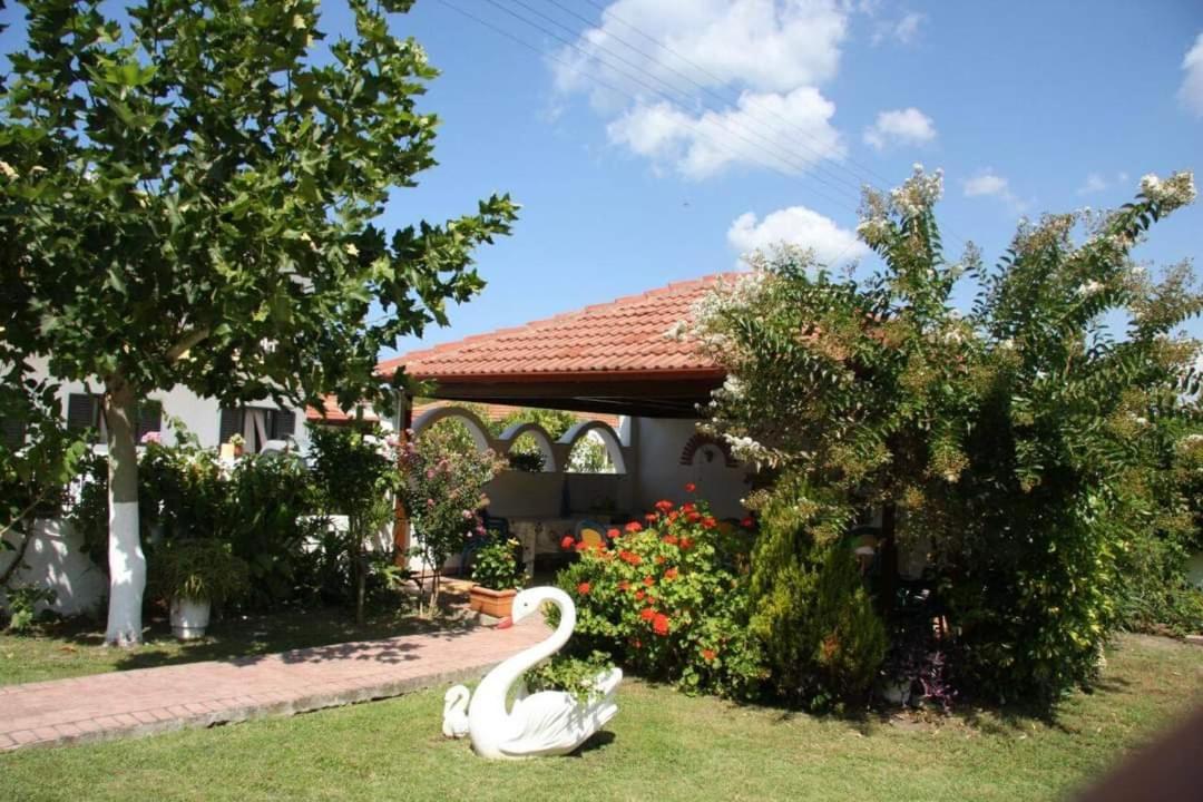 Koletsis Ammoudia