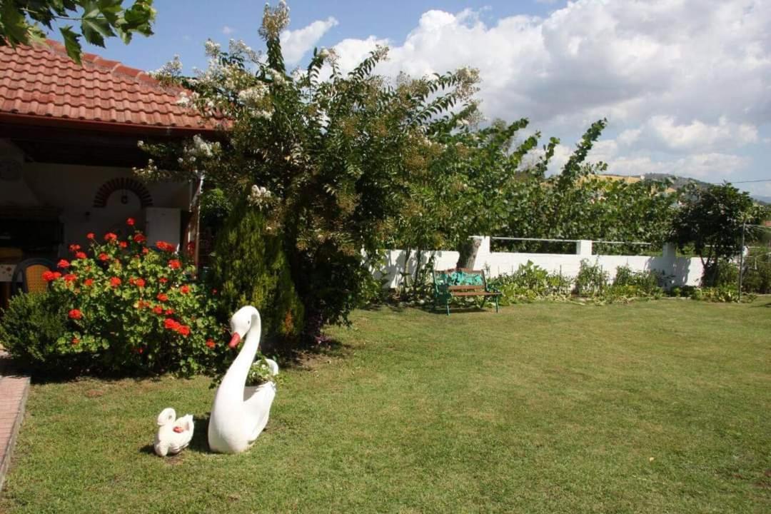 Koletsis