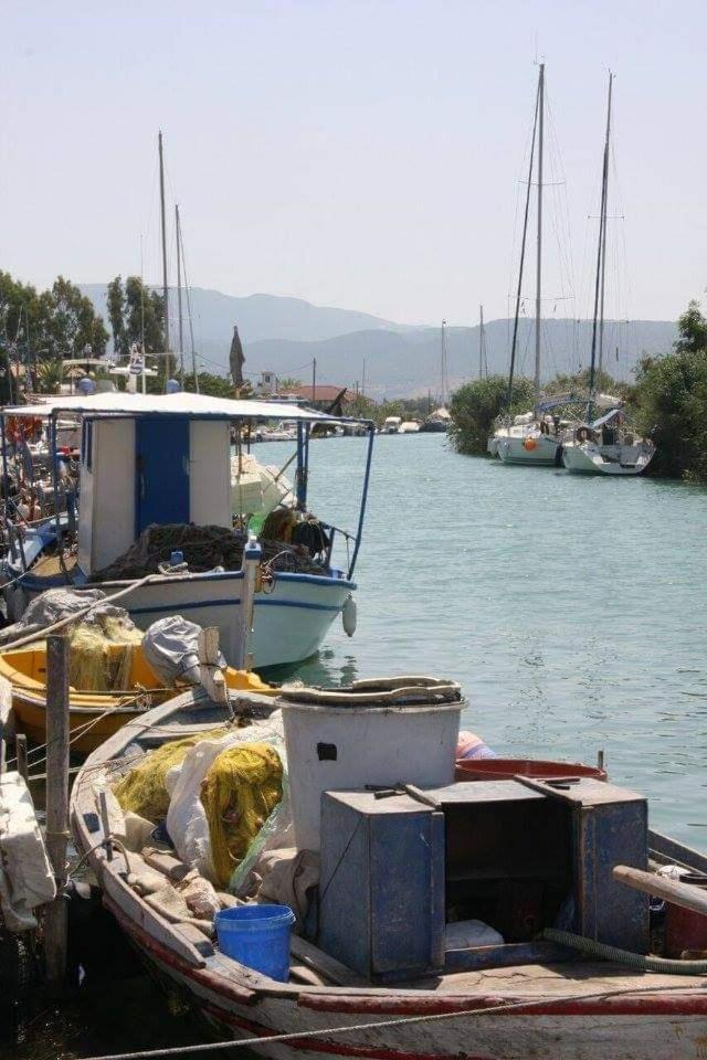 Koletsis Ammoudia